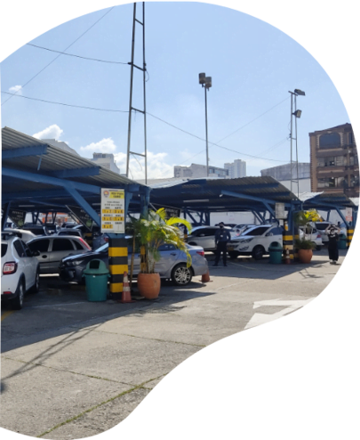 Servicio Parqueaderos 1 Grupo 38040